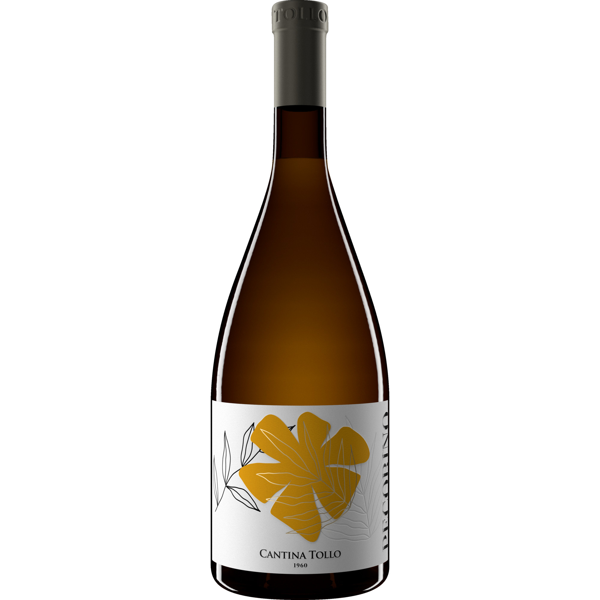 Tollo Pecorino, Terre d’Abruzzo IGP, Abruzzen, 2025, Weißwein