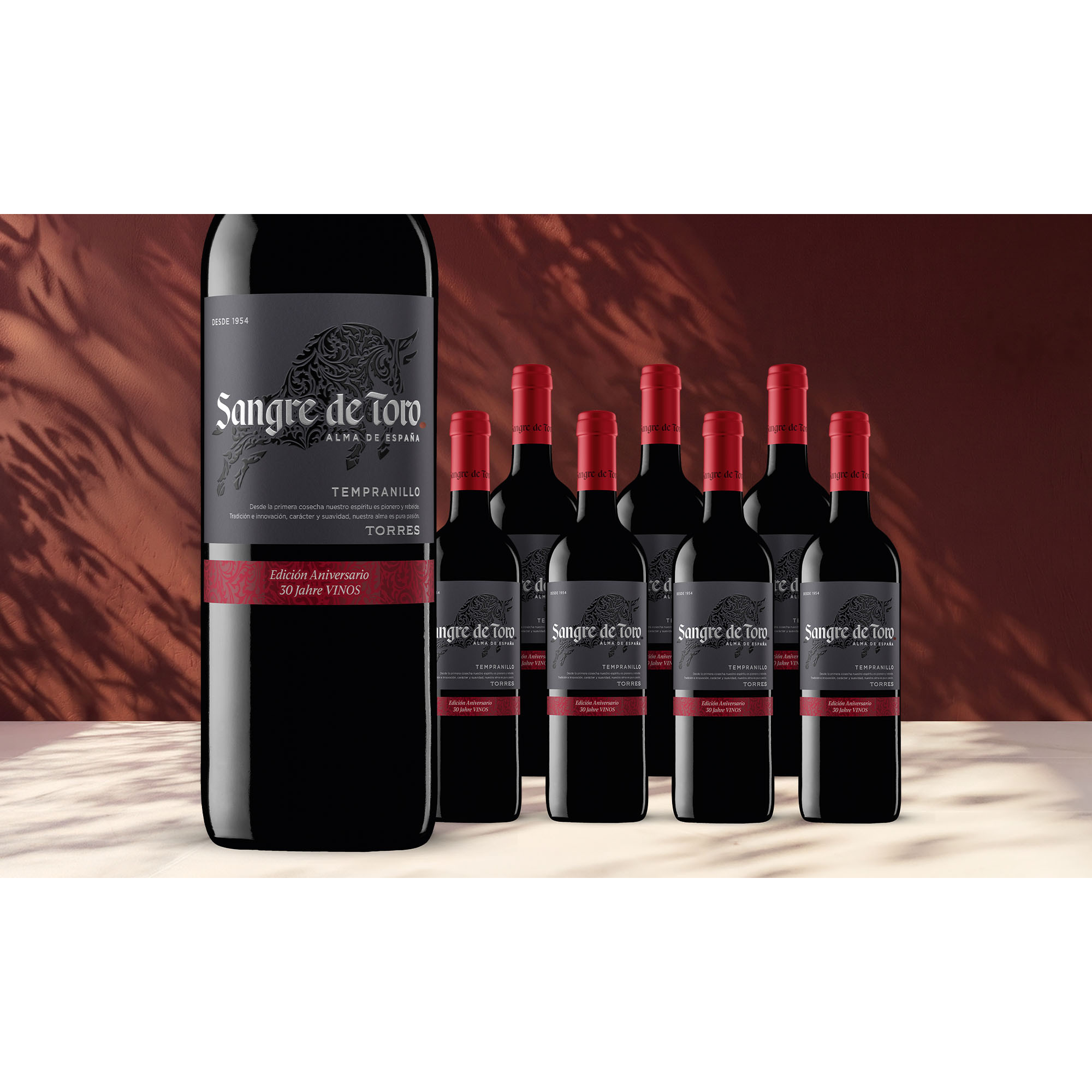 Torres Sangre de Toro Edición Aniversario 2022 6L 13.5% Vol. Weinpaket aus Spanien