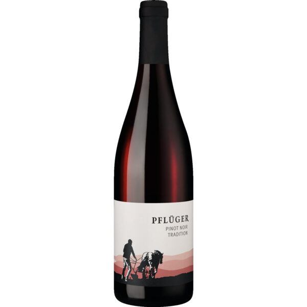 Tradition Pinot Noir, Trocken, Pfalz, Pfalz, 2024, Rotwein