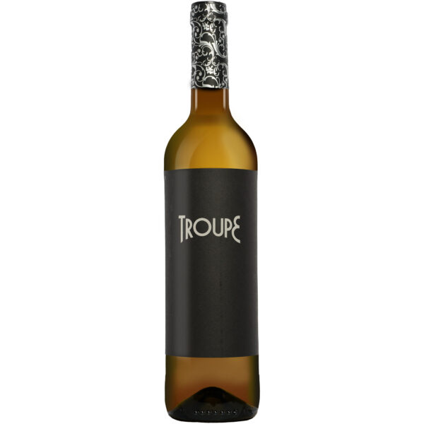 Troupe 2025 0.75L 13% Vol. Weißwein Trocken aus Spanien