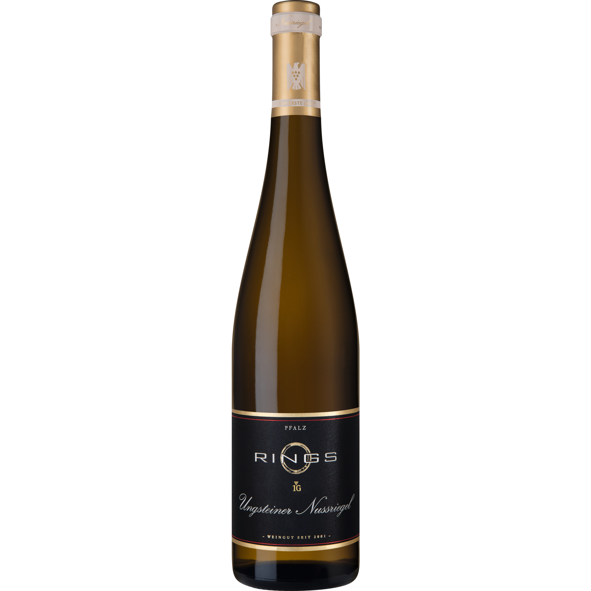 Ungsteiner Nussriegel Riesling Erste Lage, Trocken, Pfalz, Pfalz, 2022, Weißwein