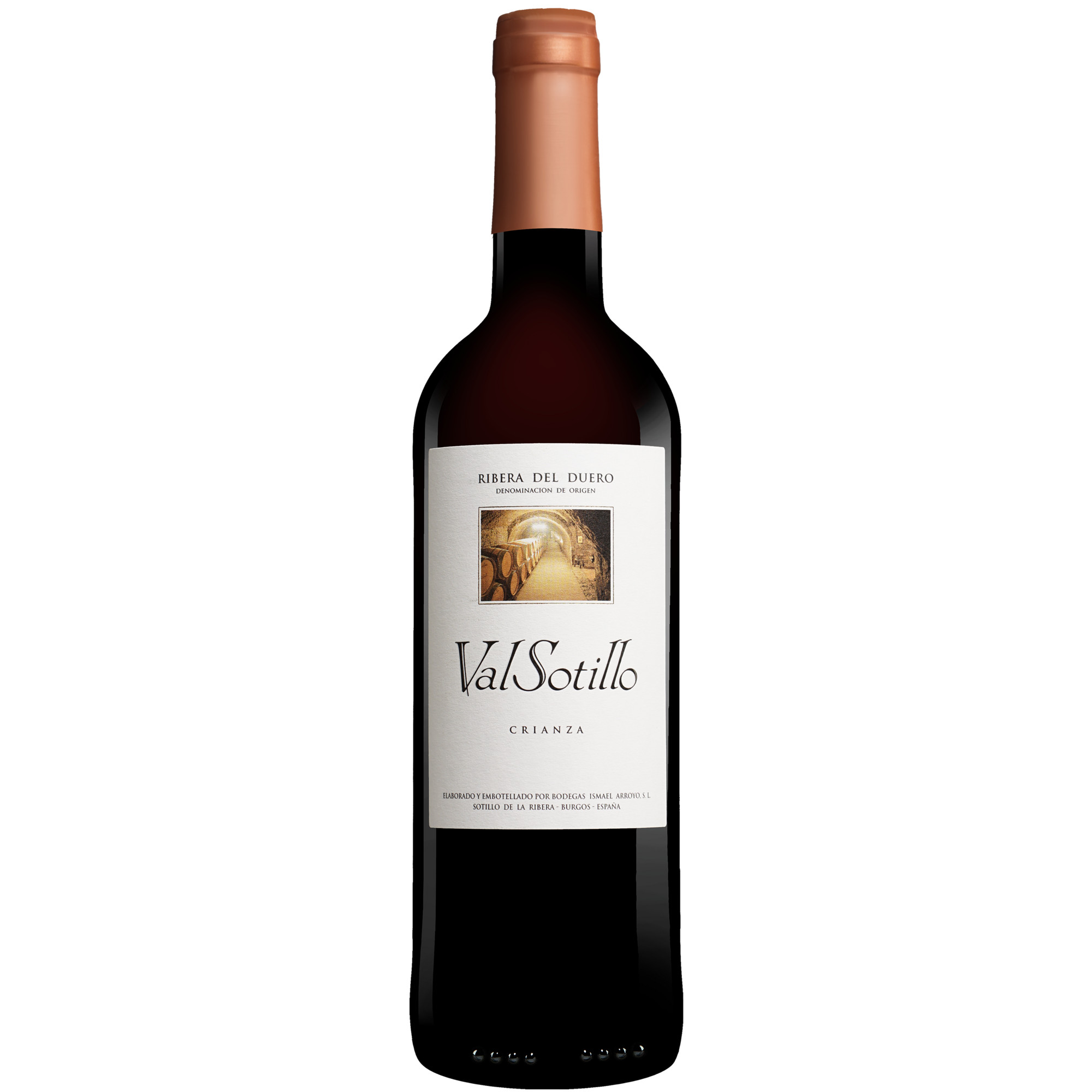 Val Sotillo Crianza 2022 0.75L 14.5% Vol. Rotwein Trocken aus Spanien