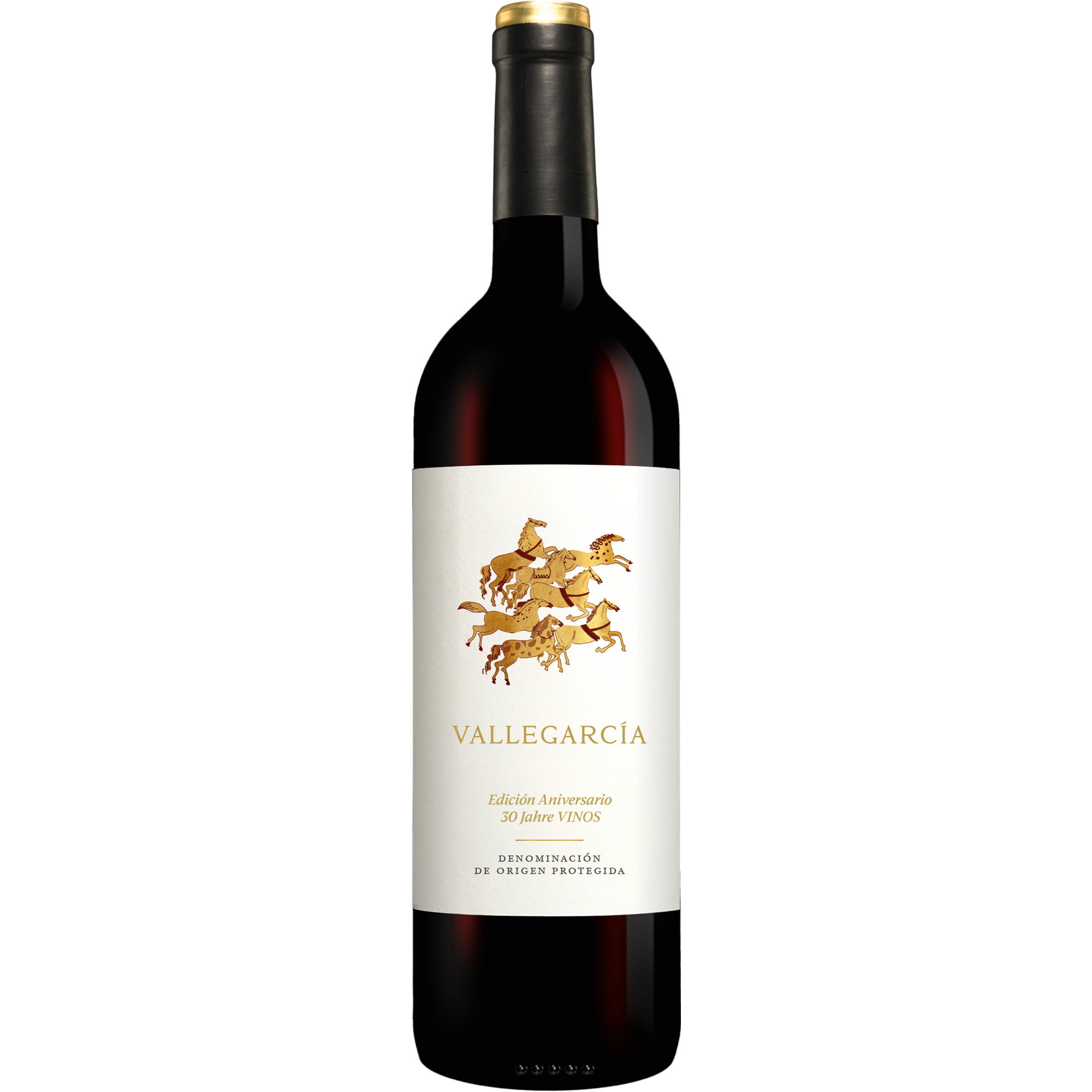 Vallegarcía Edición Aniversario 2024 0.75L 13.5% Vol. Rotwein Trocken aus Spanien