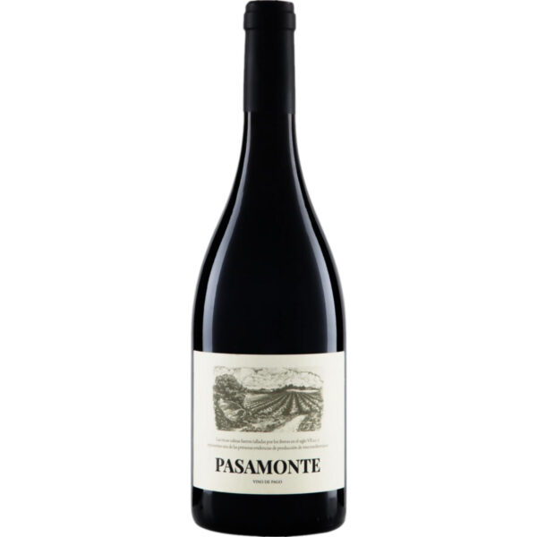 Vegalfaro Pasamonte Los Balagueses, Utiel-Requena DO, Utiel-Requena D.O., 2022, Rotwein