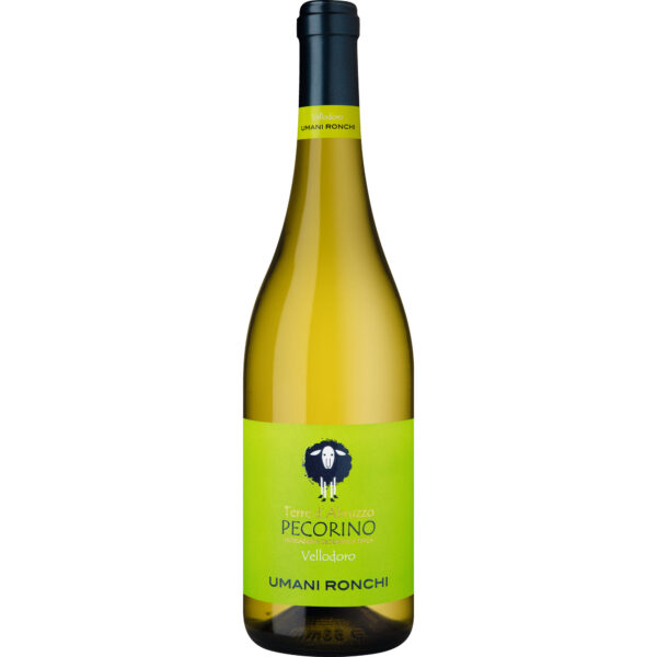 Vellodoro Pecorino, Terre d'Abruzzo IGT, Abruzzen, 2024, Weißwein