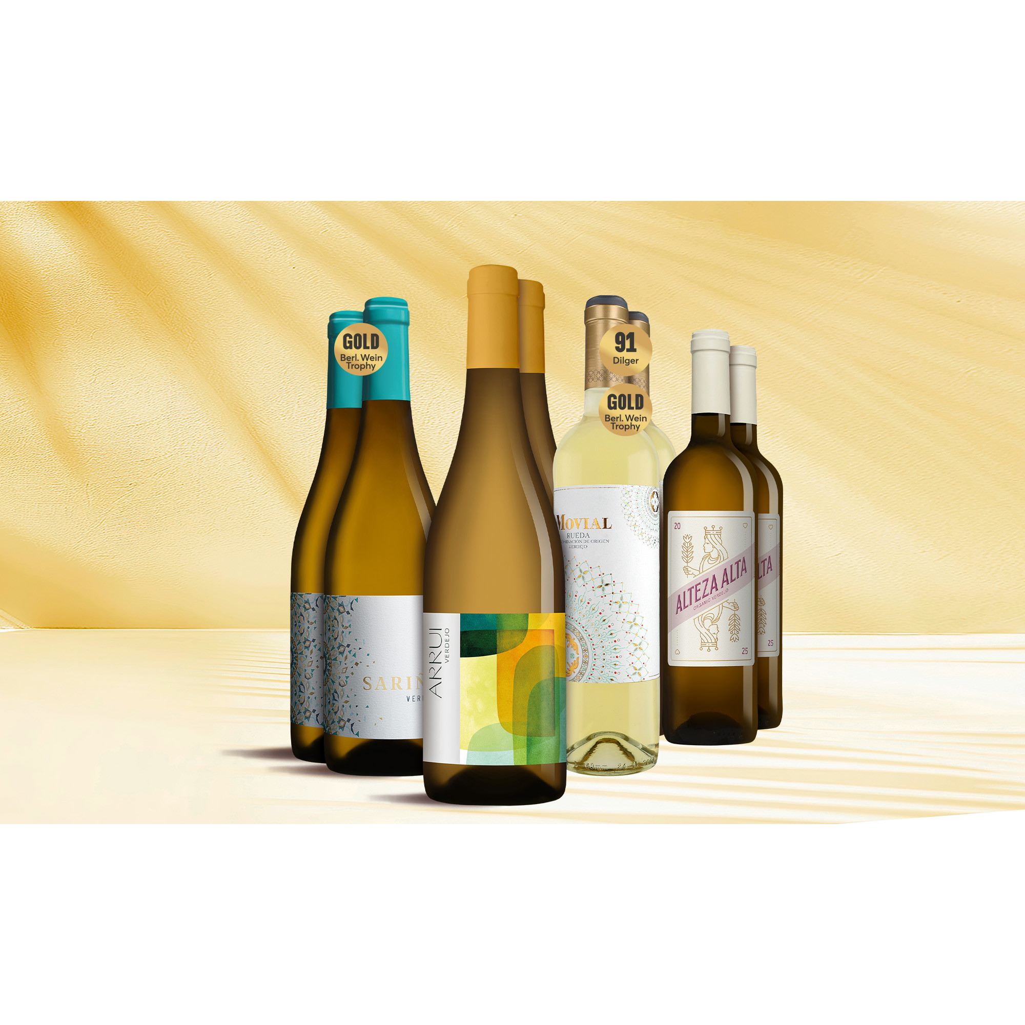 Verdejo Genießer-Paket 6L Weinpaket aus Spanien