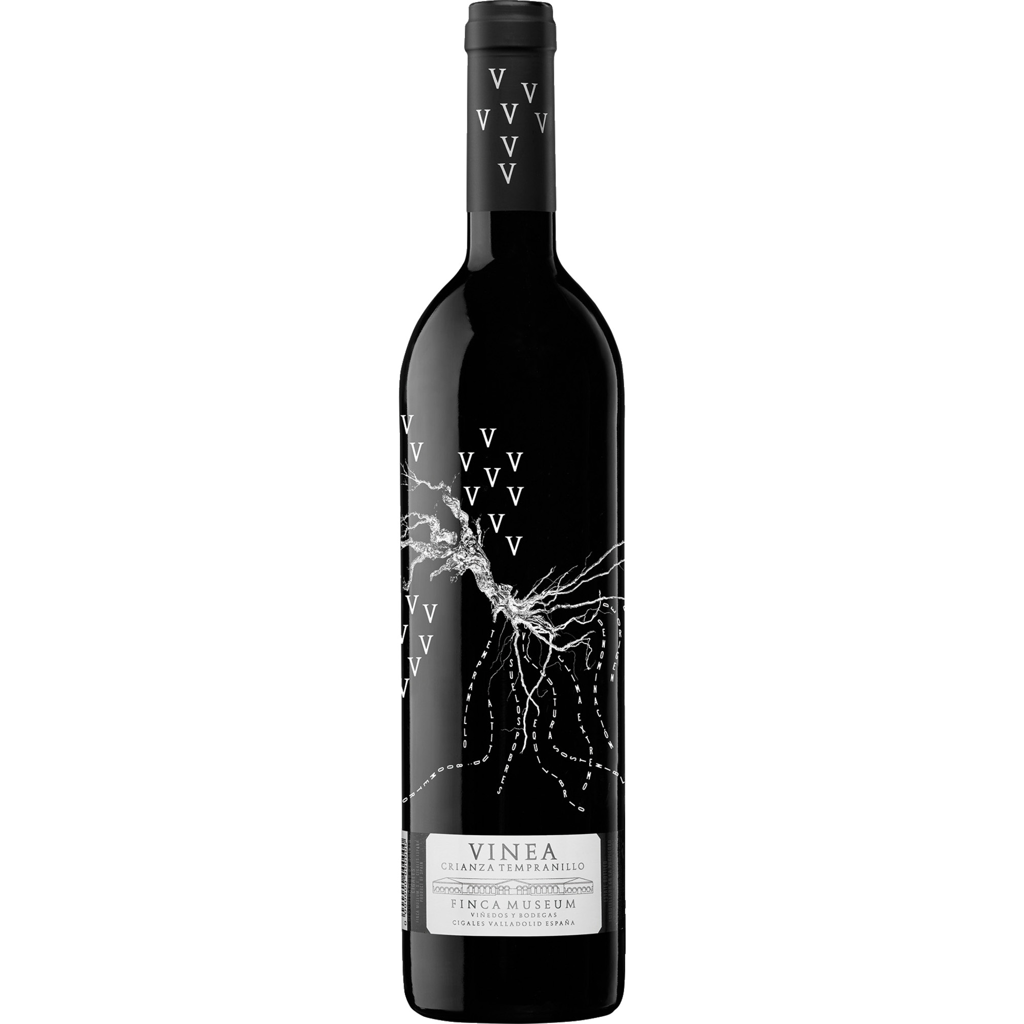 Vinea Tinto Finca Museum, Cigales DO, Kastilien - León, 2021, Rotwein