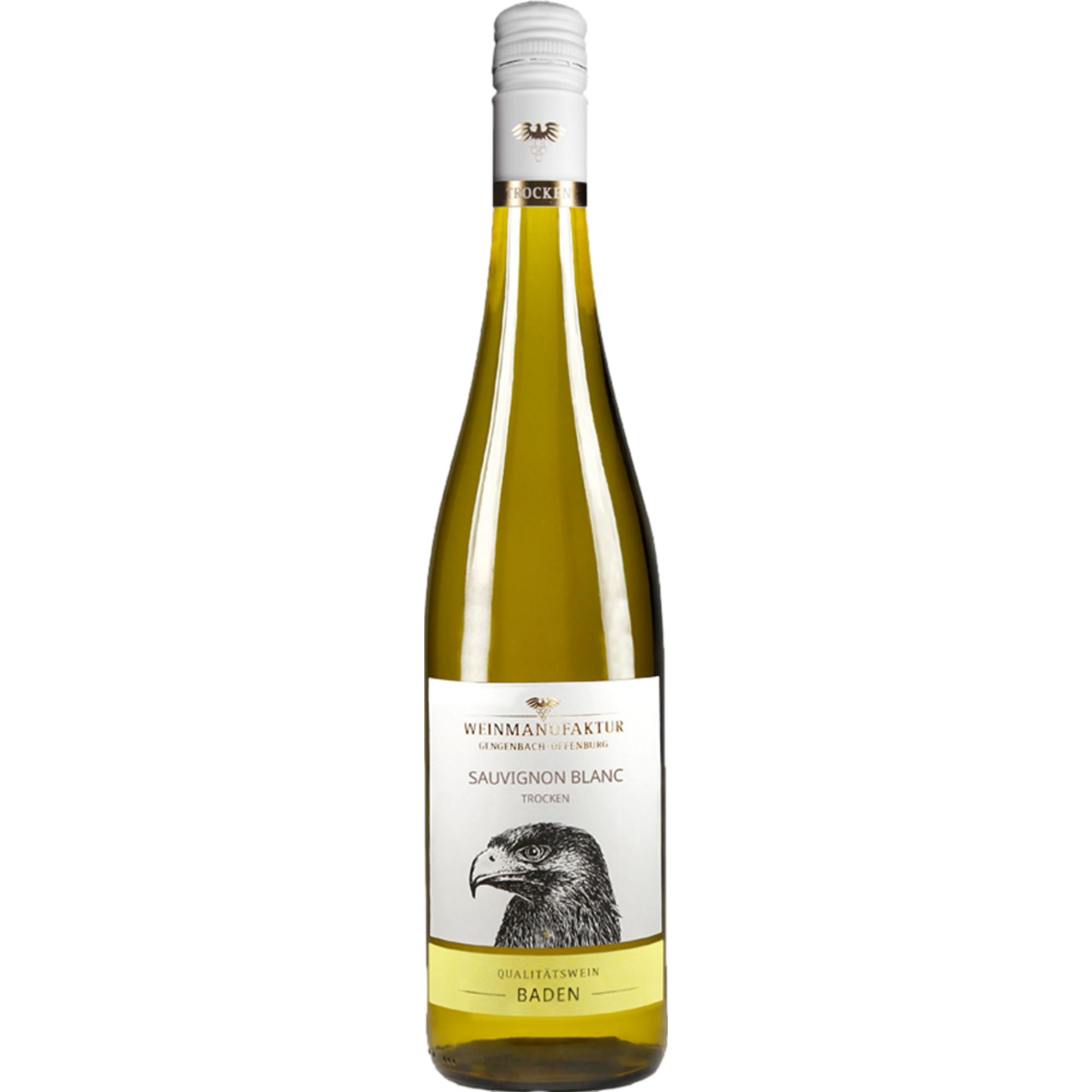 Weinmanufaktur Gengenbach Sauvignon Blanc, Trocken, Baden, Baden, 2025, Weißwein