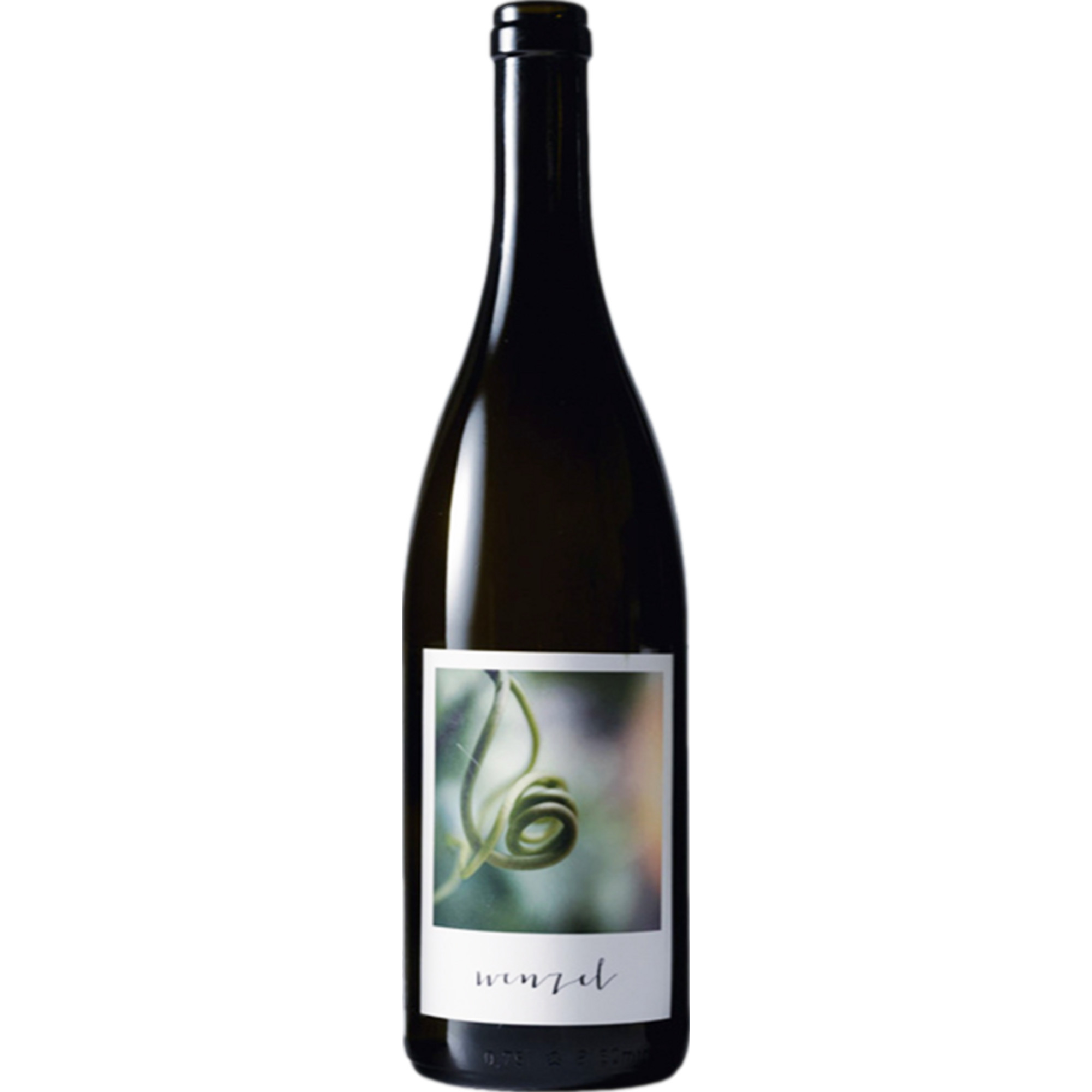 Wenzel Furmint Stockkultur, Trocken, Österreich, Burgenland, 2023, Weißwein