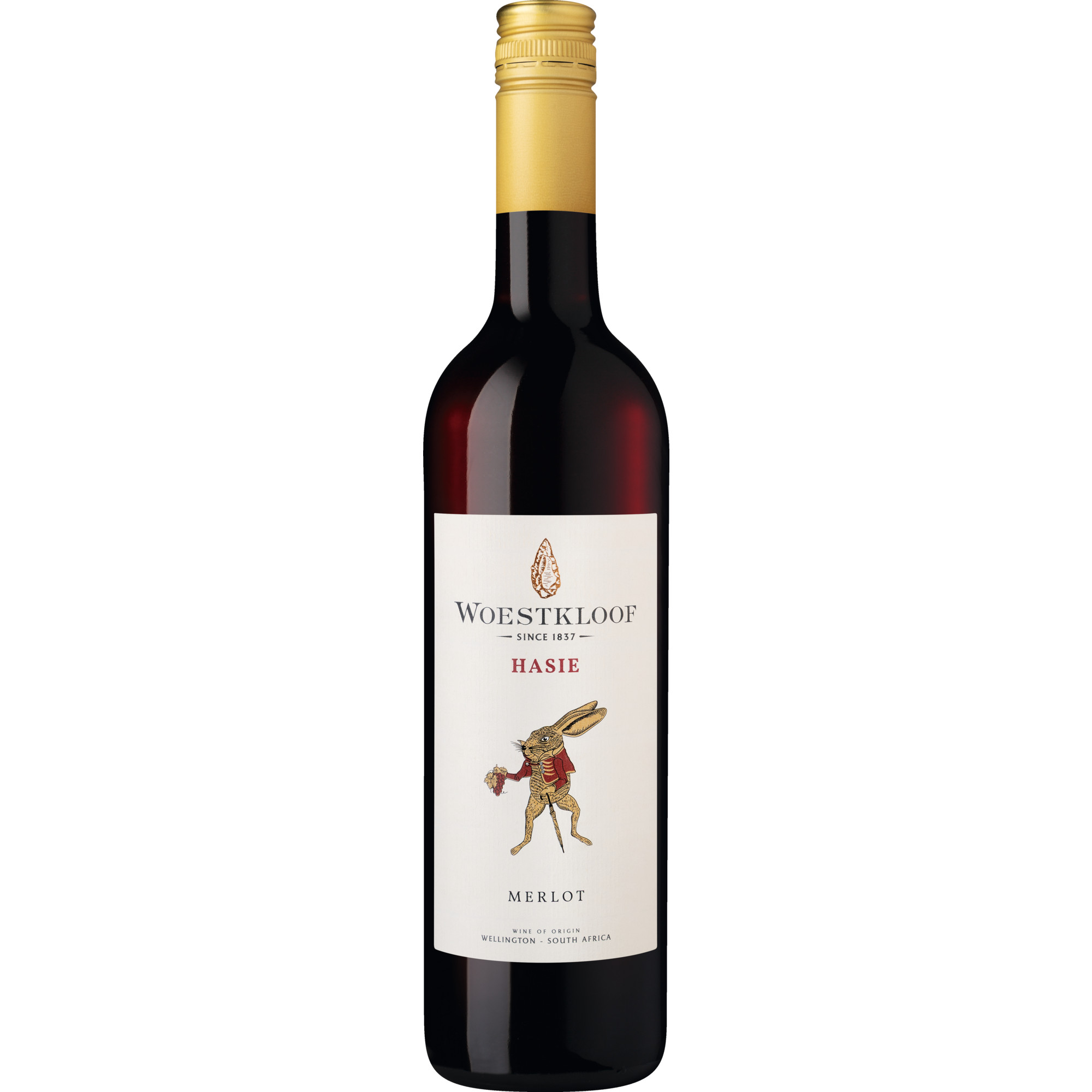 Woestkloof Hasie Merlot, WO Wellington, Western Cape, 2023, Rotwein
