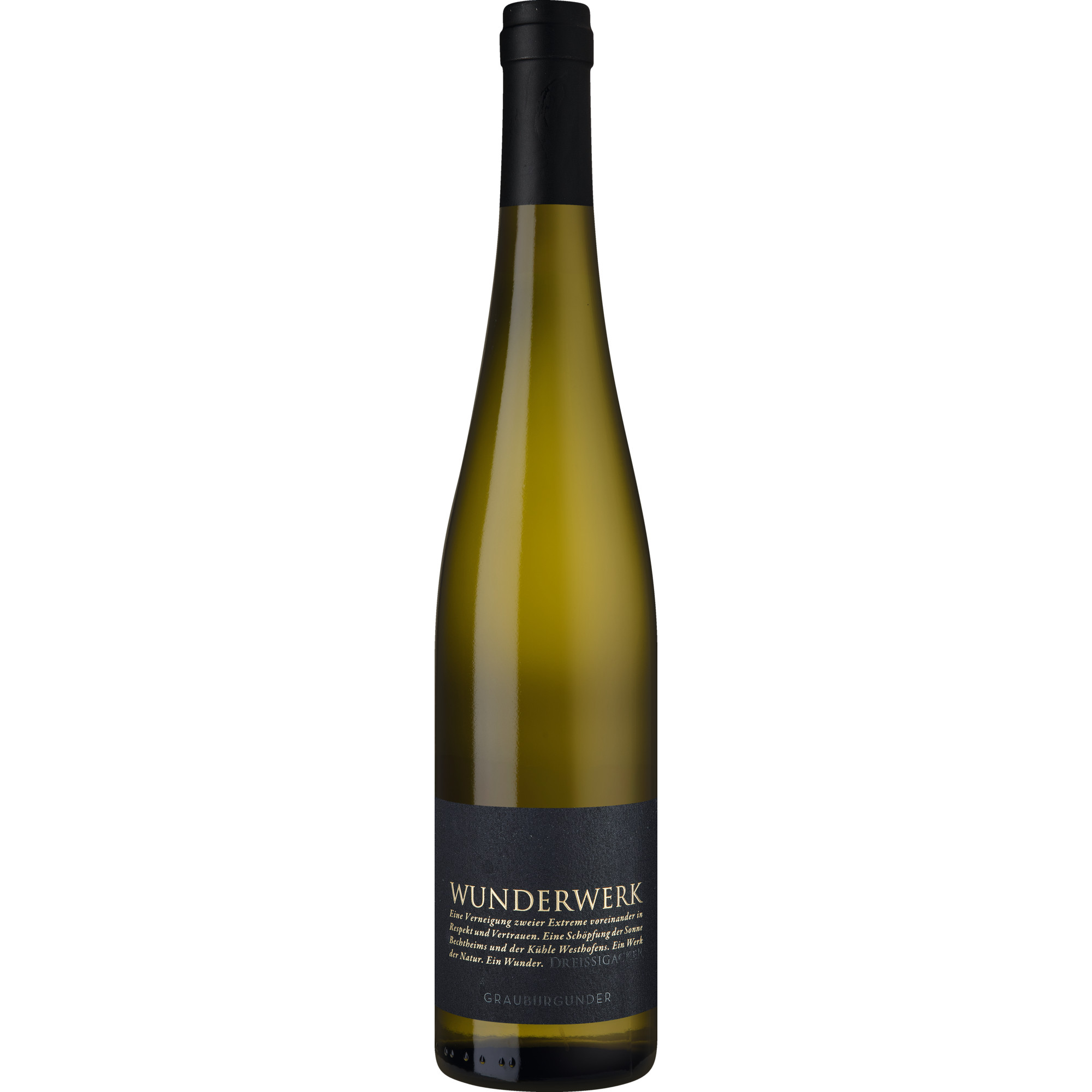 Wunderwerk Grauburgunder, Trocken, Rheinhessen, Rheinhessen, 2023, Weißwein