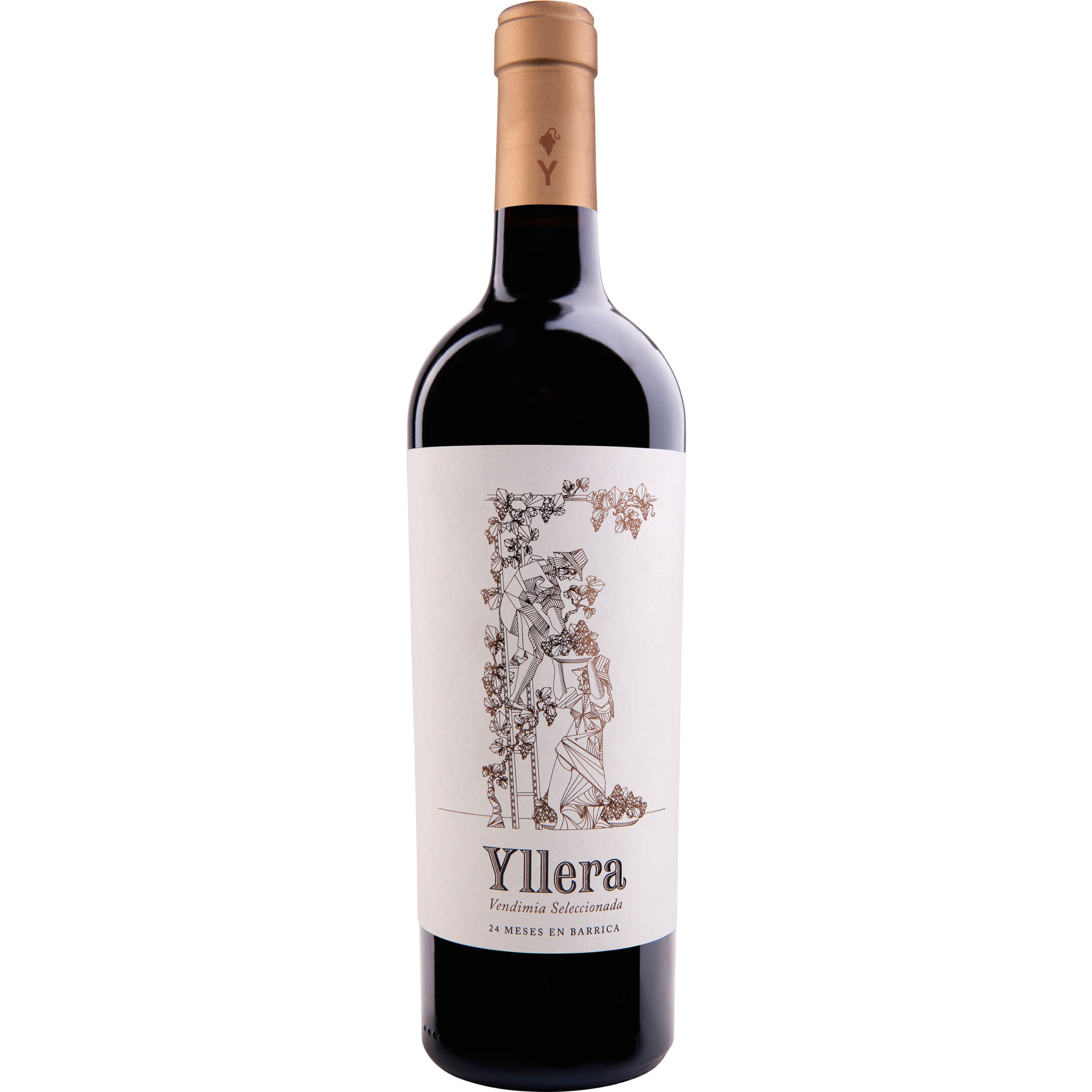 Yllera Vendimia Seleccionada, Vino de la Tierra Castilla y León, Kastilien - León, 2019, Rotwein